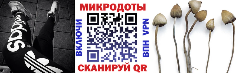 Галлюциногенные грибы MAGIC MUSHROOMS  Сургут 